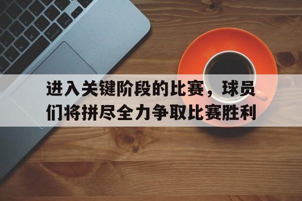 进入关键阶段的比赛，球员们将拼尽全力争取比赛胜利的简单介绍