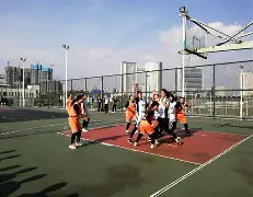 比利时女子篮球队众将发挥出色，迎来连胜势头的简单介绍