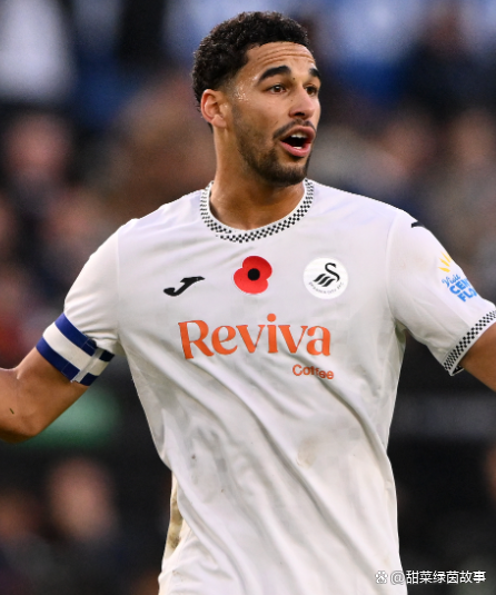 关于布里斯托城主场惜败斯旺西，保级压力增大的信息