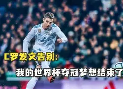 新赛季开幕，球队目标锁定夺冠梦想(新赛季球员排名)
